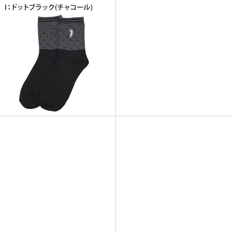 靴下 レディース クルーソックス POLO polo 22～24cm 快適 靴下 カラフル オールシーズン おしゃれ くつした カジュアル くつ下 通気性 伸縮 クルー丈 婦人靴下 可愛い