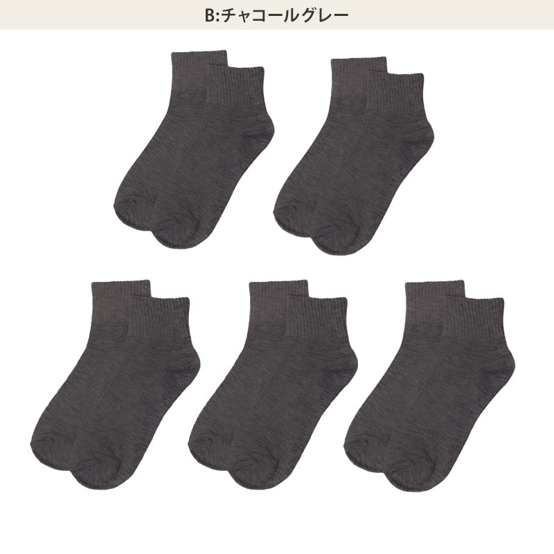 靴下 レディース クルーソックス 5足組 22～24cm 快適 靴下 無地 カラフル オールシーズン おしゃれ くつした くつ下 通気性 伸縮 クルー丈 婦人靴下 シンプル 可愛い