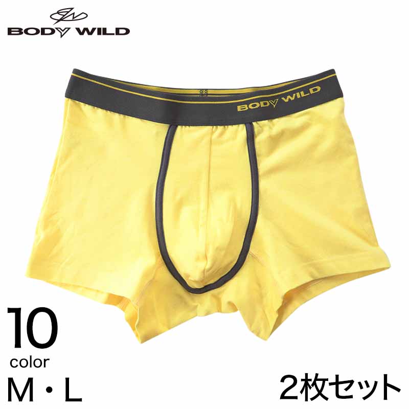 グンゼ BODYWILD メンズ ボクサーパンツ 男性 紳士 パンツ ボディワイルド Color-B 2枚セット M・L (GUNZE 前とじ ボクサーブリーフ 下着 肌着 インナー インナーウェアー アンダーウェアー カラー豊富 ) (在庫限り)