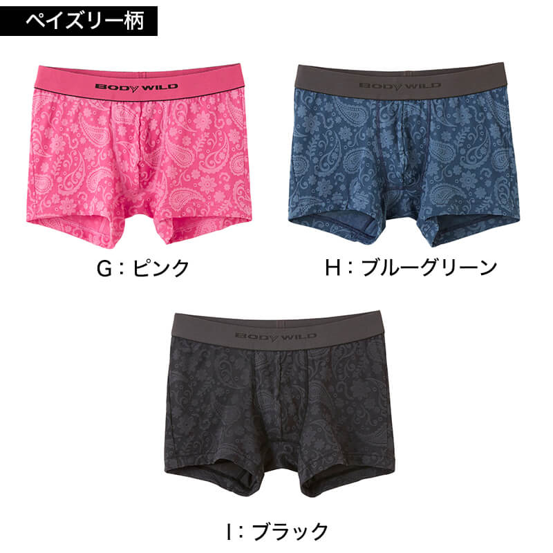 グンゼ ボディワイルド ボクサーパンツ メンズ インナー 下着 BodyWild 2枚セット M～LL (GUNZE BODYWILD 男性 メンズボクサー ボクサーブリーフ インナーウェアー カジュアル 前とじ M L LL) (在庫限り)