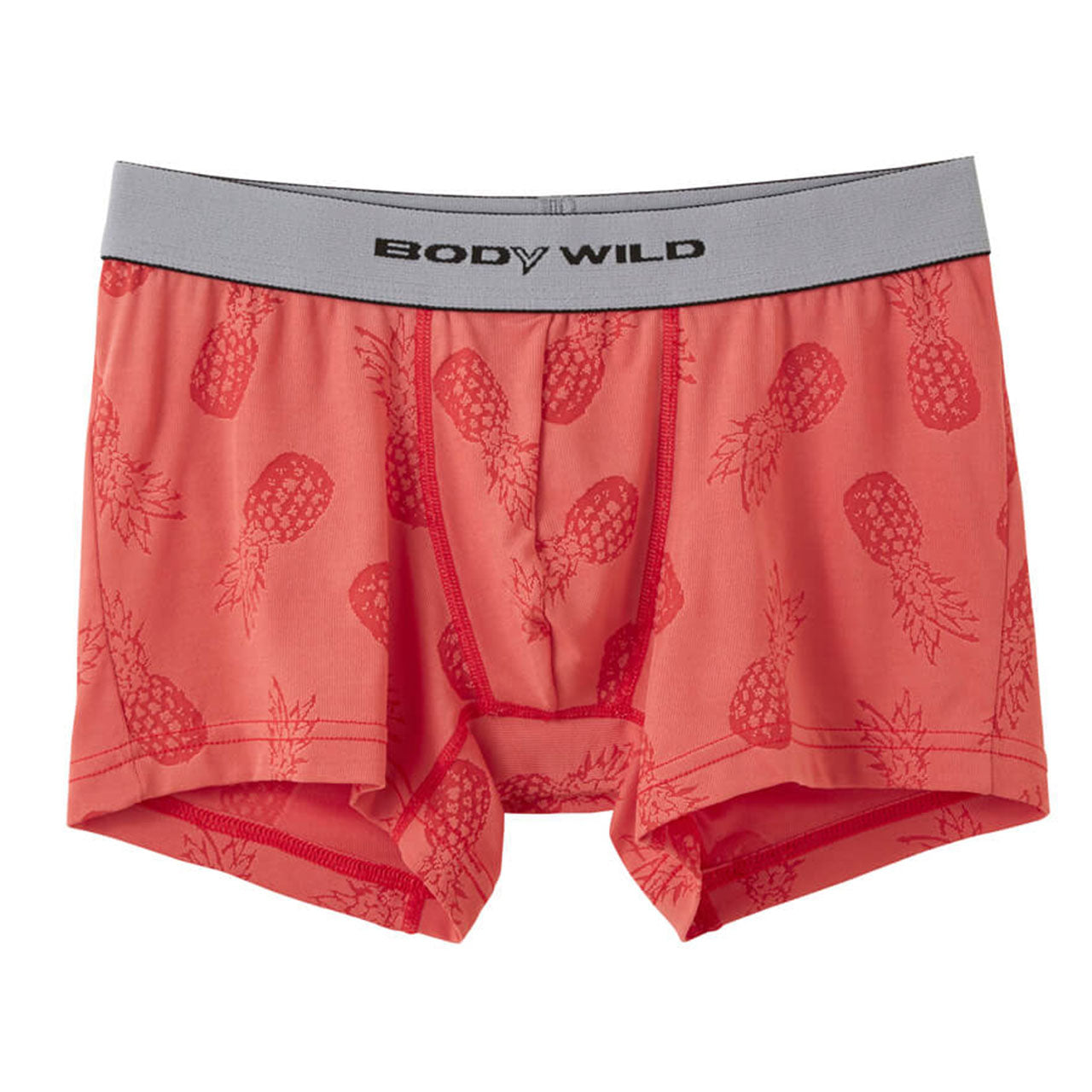 グンゼ ボディワイルド ボクサーパンツ メンズ インナー 下着 BodyWild 2枚セット M～LL (GUNZE BODYWILD 男性 メンズボクサー ボクサーブリーフ インナーウェアー カジュアル 前とじ M L LL) (在庫限り)