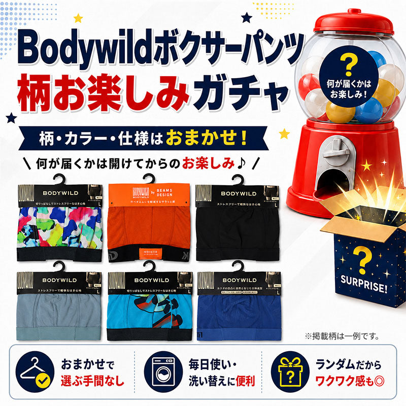 BODY WILD ボクサーパンツ おまかせ ガチャ ボクサーブリーフ グンゼ M L LL ボディワイルド メンズ 下着 インナー 男性用 紳士 パンツ 柄ランダム 色柄おまかせ 前あき 前とじ 選べない ブランド 肌着 まとめ買い 買い替え デイリー 普段使い