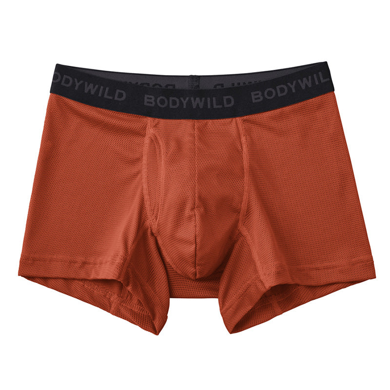 グンゼ ボディワイルド ボクサパンツー メッシュ 前あき M～LL