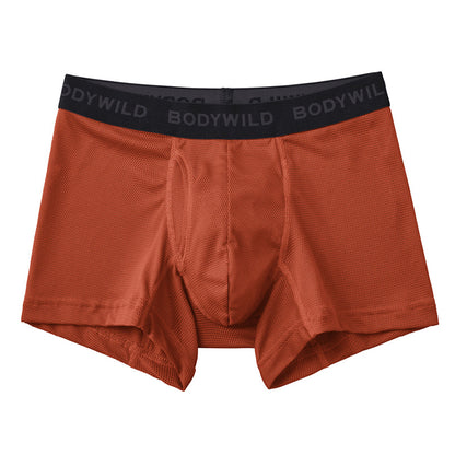 グンゼ ボディワイルド ボクサパンツー メッシュ 前あき M～LL bodywild ボクサーブリーフ 下着 インナー 男性 夏 吸汗速乾 シンプル 通気性 ムレ防止 速乾 ドライ 汗吸収 プレゼント ギフト 父の日 (在庫限り)