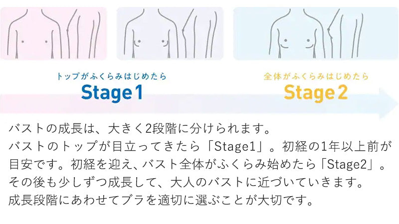 グンゼ ジュニアブラ ハーフトップ 子供 パッド付き シームレス 綿 縫い目なし 140～160cm キッズ ファーストブラ ブラジャー 女の子 下着 スクールインナー 制服 ひびきにくい パット 学校生活