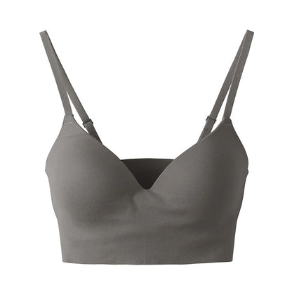 グンゼ ノンワイヤーブラ ブラジャー レディース M～LL (キレイラボ Fitte おしゃれ オーガニックコットン インナー 下着 女性 締め付けない カラー)