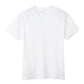 グンゼ YG tシャツ メンズ 半袖 vネック 吸水 ドライ 抗菌 防臭 M L LL v首 GUNZE インナーシャツ 男性 紳士 下着 肌着 インナー ニオイ対策 夏 スーツ下 ビジネス ビジネスインナー オールシーズン 白 黒