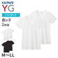 グンゼ YG tシャツ メンズ 半袖 vネック 鹿の子 抗菌 防臭 2枚組 M L LL 吸汗速乾 v首 GUNZE インナーシャツ 男性 紳士 下着 肌着 インナー ニオイ対策 夏 スーツ下 ビジネス ビジネスインナー オールシーズン