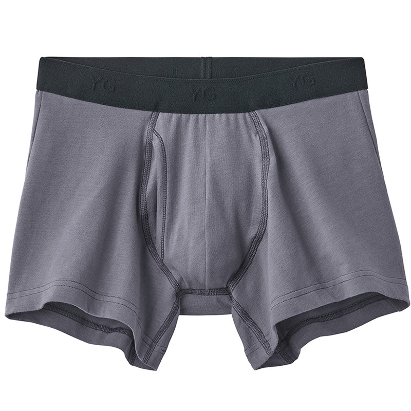 ボクサーパンツ メンズ 前開き ボクサーブリーフ 綿混 YG グンゼ M L LL インナー メンズ下着 男性下着 パンツ 抗菌防臭 消臭 ストレッチ ボーダー 下着 男性 インナーウェア メンズインナー デイリーインナー 快適 肌着 男性用 下着パンツ 男性パンツ 紳士下着