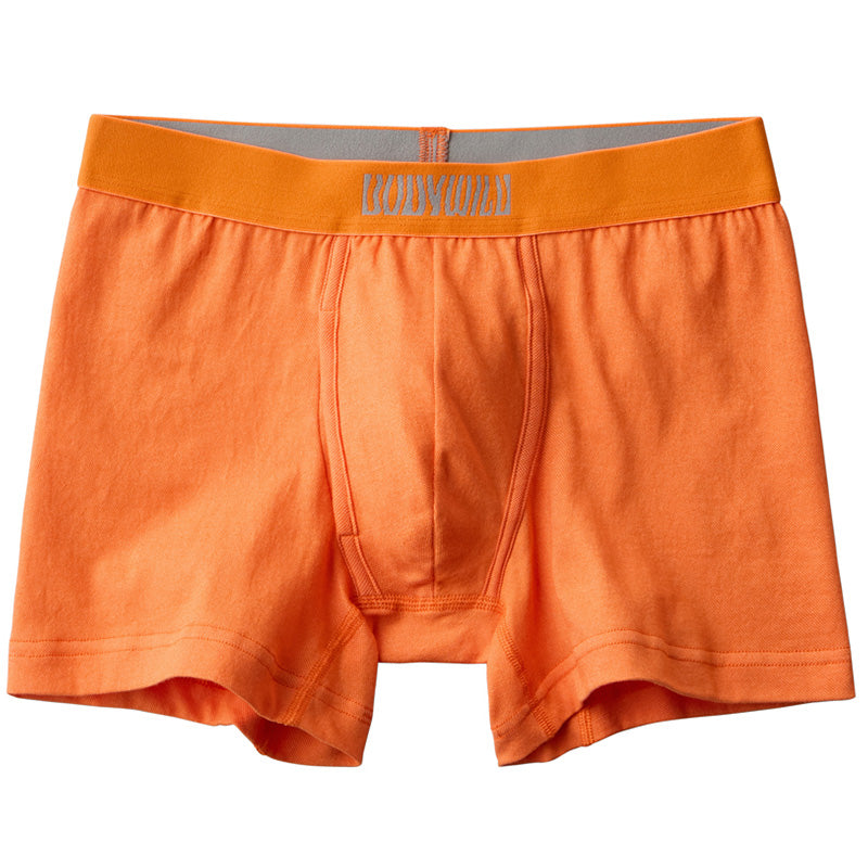 綿混 ストレッチ ボクサーパンツ メンズ 前あき シークレット前あき デニム調 M L BODY WILD ボディワイルド BEAMS DESIGN ビームス デザイン コラボ グンゼ GUNZE ボクサーブリーフ 下着 肌着 男性 紳士 オールシーズン フィット 動きやすい