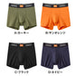 ボクサーパンツ メンズ 吸汗速乾 吸放湿 抗菌防臭 アセドロン 前あき M L 前開き BODY WILD ボディワイルド BEAMS DESIGN ビームス デザイン コラボ グンゼ GUNZE 下着 肌着 ボクサーブリーフ オールシーズン 汗ムレ軽減 カジュアル インナー 男性