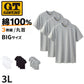 綿100% クルーネック Tシャツ 3枚組 メンズ 半袖 丸首 インナーシャツ 脇縫いなし 大きいサイズ 3L 天竺 肌着 コットン パックT 3P 無地 シンプル ベーシック 通年 洗い替え まとめ買い 紳士 下着 男性用インナー G.T.HAWKINS GTホーキンス グンゼ