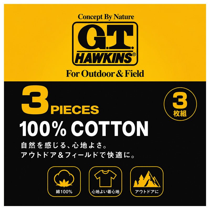 綿100% クルーネック Tシャツ 3枚組 メンズ 半袖 丸首 インナーシャツ 脇縫いなし 大きいサイズ 3L 天竺 肌着 コットン パックT 3P 無地 シンプル ベーシック 通年 洗い替え まとめ買い 紳士 下着 男性用インナー G.T.HAWKINS GTホーキンス グンゼ