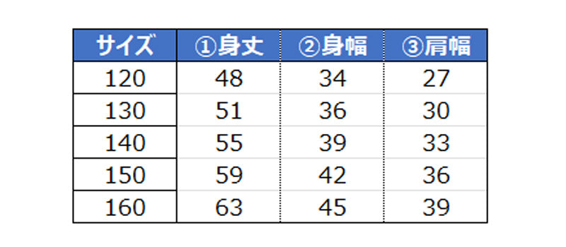 ヘインズ Champion ボーイズ メッシュ スリーブレスシャツ 130cm～160cm (Champion ジュニア ロゴ )