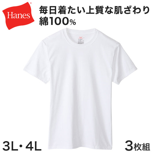 ヘインズ クルーネックTシャツ 3枚組 BIG 3L・4L (Hanes Global Value Line 綿100 インナー アンダーウェア 肌着 下着)