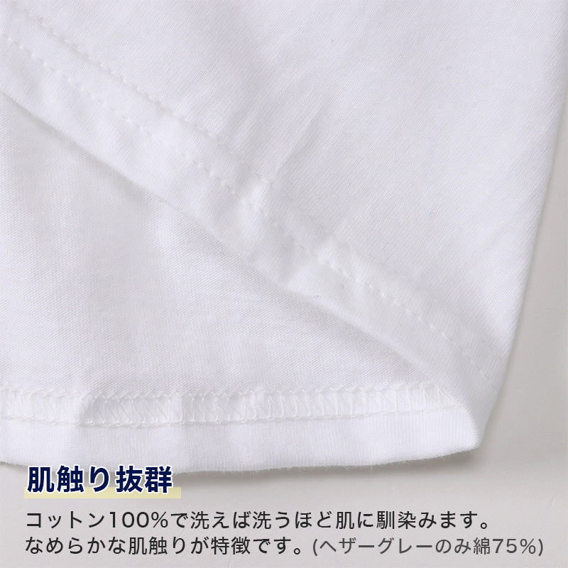 ヘインズ メンズ Tシャツ Vネック インナー 半袖 綿 3枚組 M～LL Hanes 綿100 インナーシャツ アンダーウェア 肌着 下着 男性 無地 v首 コットン