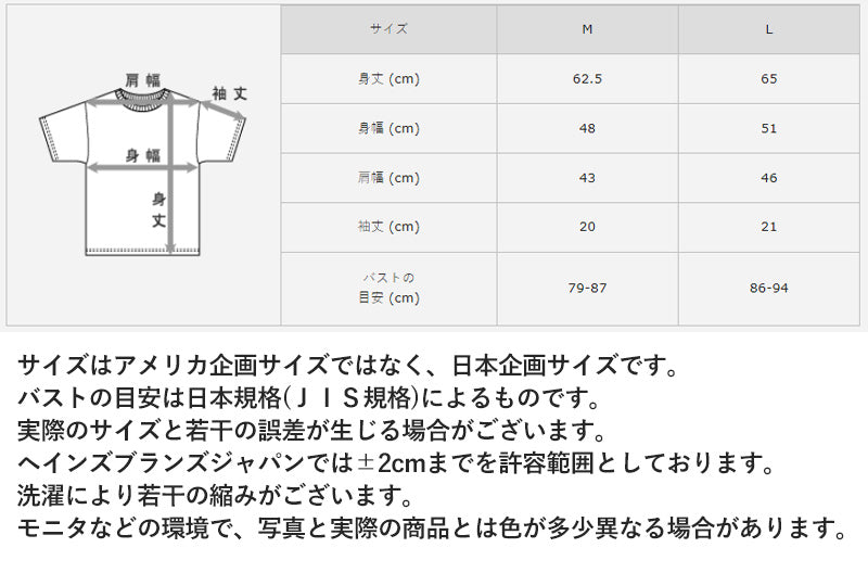 ヘインズ レディース Tシャツ ポケット トップス 半袖 綿100% コットン 春夏 2枚組 M・L (Hanes 透けにくい 綿 無地 シンプル インナー 女性 ポケット付き セット クルーネック) (在庫限り)