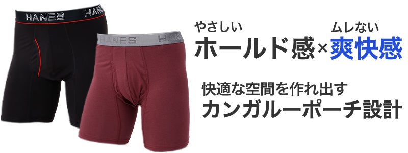 ボクサーブリーフ メンズ 下着 ヘインズ 前開き パンツ ムレ 無地 大きめ 3L 4L 5L Hanes インナー ニオイ 通気性 ボクサー 男性 メッシュ 伸縮性 ストレッチ