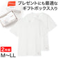 メンズ ヘインズ クルーネック 半袖 Tシャツ 2枚組 M～LL Hanes 丸首 メンズシャツ シャツ メンズインナー インナー トップス 大きいサイズ