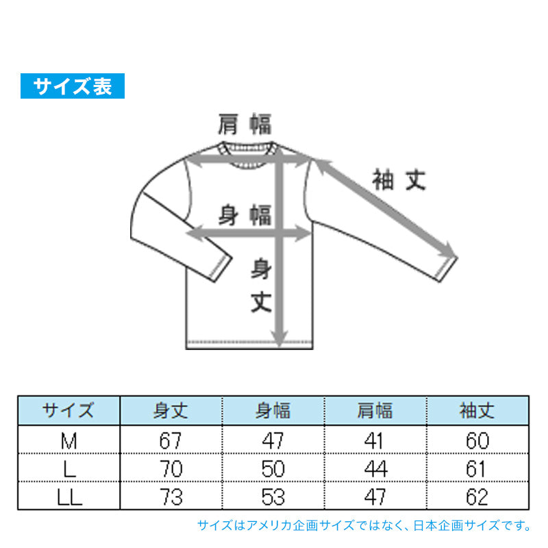 Hanes ヘインズ メンズ モックネック 長袖Tシャツ 裏フリース ブロックフリース 吸汗速乾 ストレッチ 保温 タグレス ロンT カットソー トップス インナー 防寒 秋冬 スポーツ M～LL トレーニング アクティブウェア 普段着 重ね着 Hanes MOVES