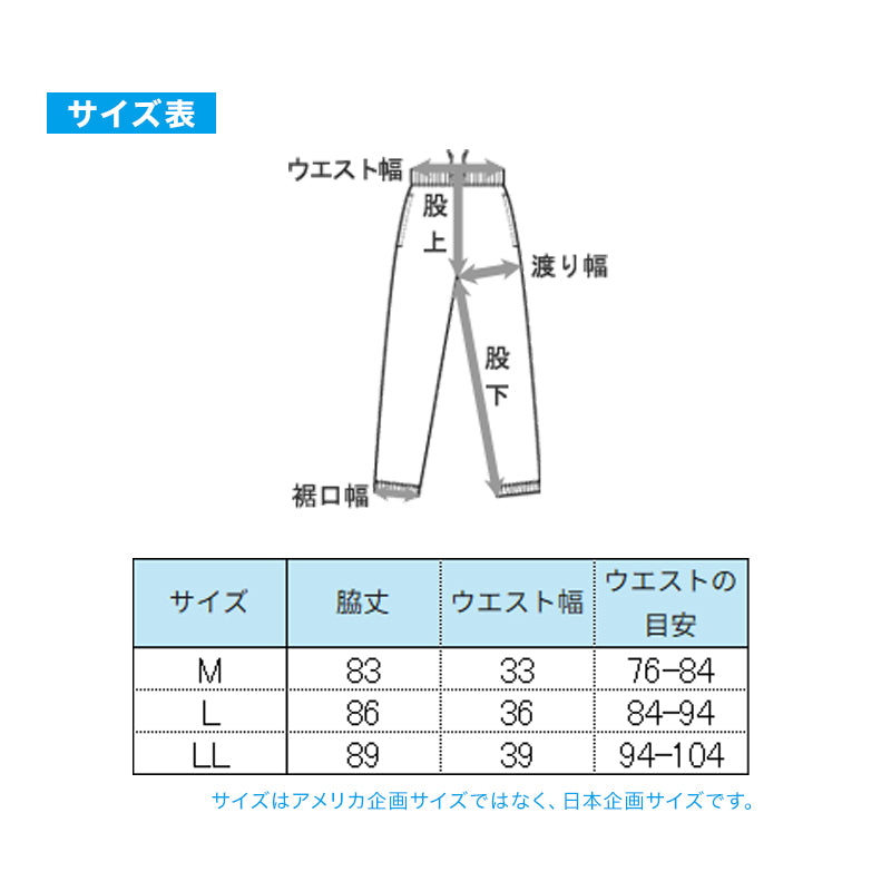 Hanes ヘインズ メンズ ロングタイツ 裏起毛 ソフトコンプレッション 吸汗速乾 UVカット ストレッチ 保温 スパッツ レギンス インナー 防寒 秋冬 スポーツ トレーニング M～LL ランニング アクティブウェア 普段着 重ね着 Hanes MOVES ヘインズムー