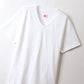メンズ 半袖 シャツ tシャツ Vネック Hanes ビジカジ魂 2枚組 M～LL (V首 ヘインズ 綿100% Tシャツ 白 黒 無地 カジュアル HANES) (在庫限り)