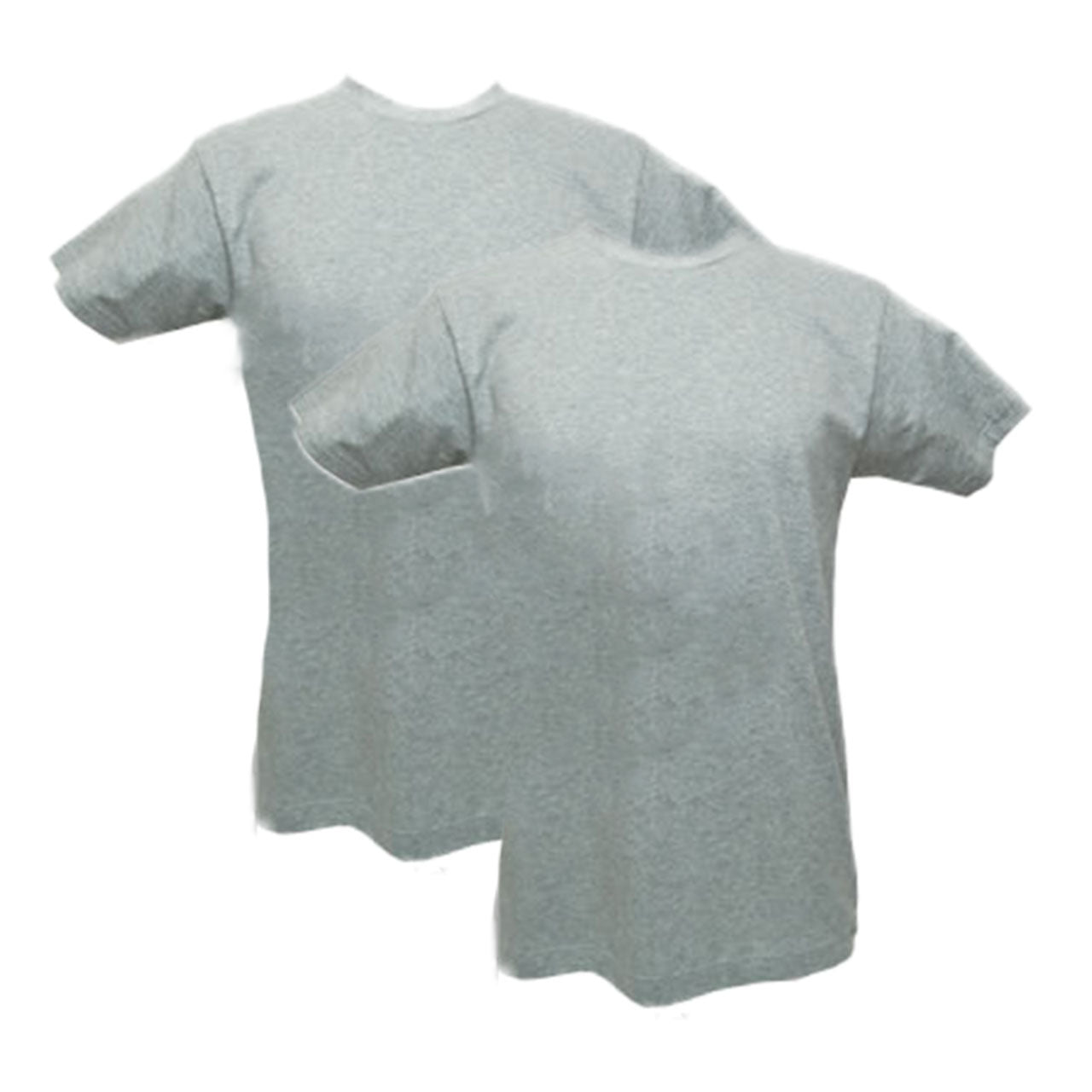 グンゼ Tシャツ メンズ 半袖 綿100% 2枚組 M～LL (下着 シャツ 綿 肌着 インナーシャツ クルーネック インナー 無地 GTホーキンス)