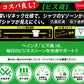 ヘインズ シャツ ビズ魂 メンズ 深Vネック Tシャツ 2枚組 M～LL (Hanes BIZ DAMASHII 抗菌防臭 吸汗速乾 深V 長め丈) (在庫限り)