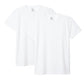 ヘインズ Tシャツ メンズ 2枚組 メッシュ 半袖 クルーネック 吸汗速乾 抗菌防臭 通気性 パックT ドライTシャツ インナー M～LL カジュアルTシャツ スポーツ 快適 Hanes MOVES