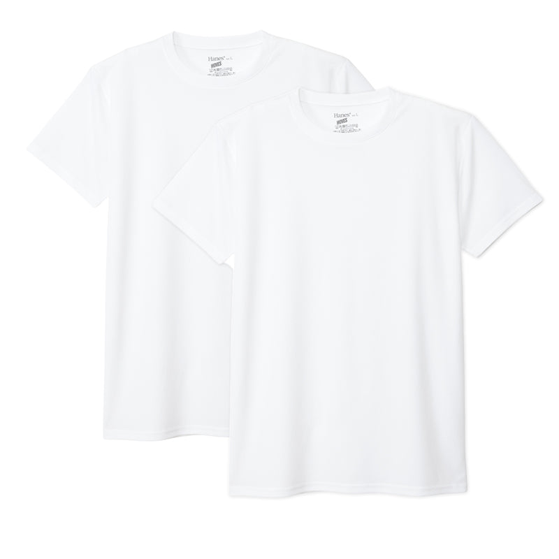 ヘインズ Tシャツ メンズ 2枚組 メッシュ 半袖 クルーネック 吸汗速乾 抗菌防臭 通気性 パックT ドライTシャツ インナー M～LL カジュアルTシャツ スポーツ 快適 Hanes MOVES