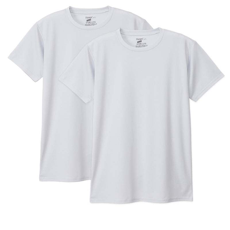 ヘインズ Tシャツ メンズ 2枚組 メッシュ 半袖 クルーネック 吸汗速乾 抗菌防臭 通気性 パックT ドライTシャツ インナー M～LL カジュアルTシャツ スポーツ 快適 Hanes MOVES