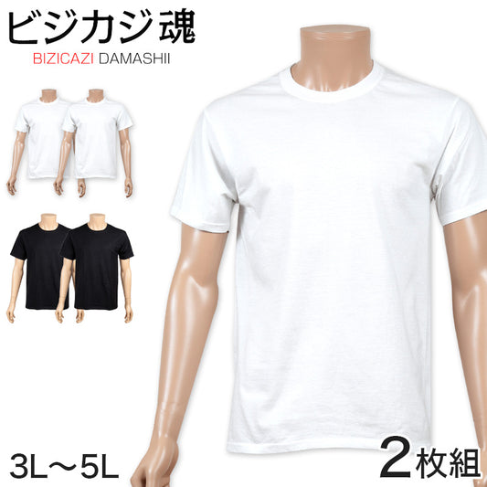 ヘインズ ビジカジ魂 tシャツ メンズ 半袖 綿100 大きいサイズ 2枚組 3L～5L (下着 綿 Tシャツ インナー クルーネック hanes セット 無地) (在庫限り)