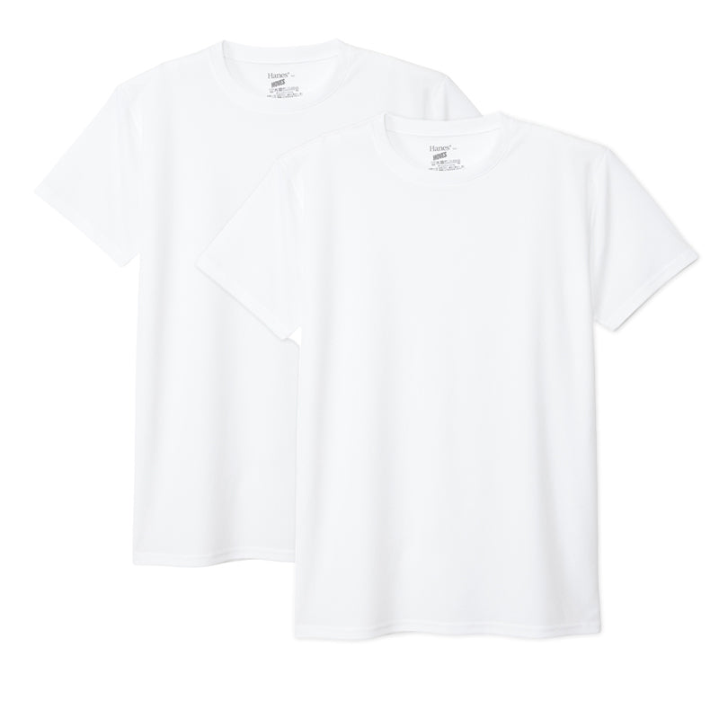 メンズ Tシャツ HANES ヘインズ メッシュTシャツ 2枚組 半袖 インナー 吸汗速乾 ドライ 通気性 スクエアメッシュ タグレス 大きいサイズ 3L～5L クルーネック スポーツ 下着 インナーシャツ 白 黒