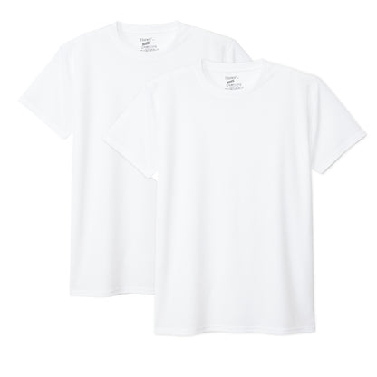 メンズ Tシャツ HANES ヘインズ メッシュTシャツ 2枚組 半袖 インナー 吸汗速乾 ドライ 通気性 スクエアメッシュ タグレス 大きいサイズ 3L～5L クルーネック スポーツ 下着 インナーシャツ 白 黒