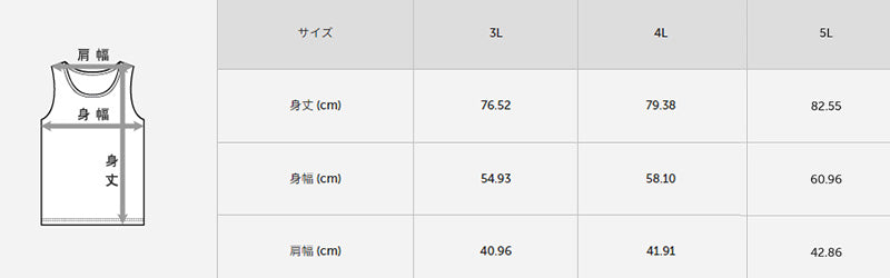 ヘインズ シャツ メンズ ノースリーブ Vネックシャツ 2枚組 3L～5L (Hanes 吸汗速乾 軽さらメッシュ 軽量ドライ 通気性 ハードスポーツ 大きいサイズあり 大きめ 3L 4L 5L) (在庫限り)