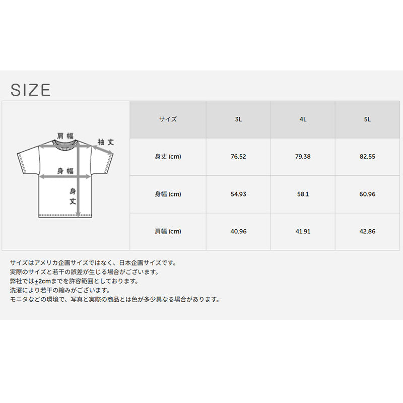 メンズ スリーブレスTシャツ 2枚組 メッシュ インナー ノースリーブ 吸汗速乾 抗菌防臭 タンクトップ 肌着 袖なし クルーネック 通気性 ドライ スポーツ トレーニング 3L～5L ランニング ジム 部屋干し 大寸 HANES