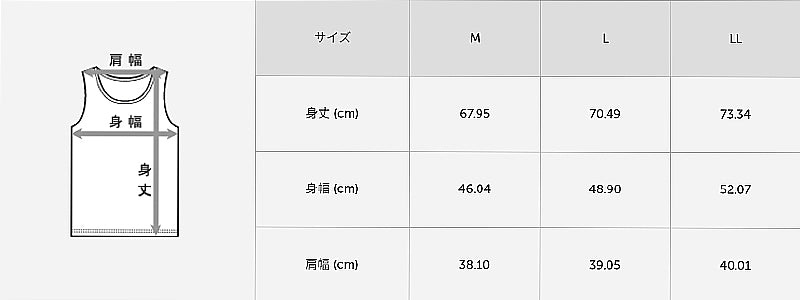 ヘインズ インナー メンズ ノースリーブ Vネック シャツ メッシュ 2枚組 M～LL Hanes 下着 スリーブレス 男性 紳士 肌着 V首 インナーシャツ 吸汗速乾 通気性 スポーツ M L LL