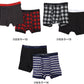 ヘインズ ボクサーパンツ メンズ 前開き 2枚組 M～LL 下着 綿 ボクサーブリーフ HANES パンツ 男性 hanes ボクサー 2枚セット 高校生 中学生 M L LL インナー
