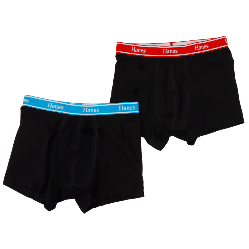 Hanes ボクサーパンツ メンズ 2枚組 ボクサーブリーフ 綿 ボクサー 前閉じ メンズ下着 コットンインナー ストレッチ アンダーウェア 男性下着 M～LL メンズインナー 快適インナー 男性パンツ シンプルボクサー スポーツインナー ヘインズ