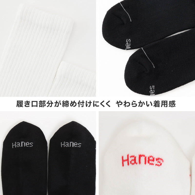 靴下 メンズ クルーソックス 2足組 Hanes ヘインズ ソックス 綿 クルー丈 ハーフパイル リブソックス スポーツ カジュアル 23-25cm・25-27cm 通勤 通学 シンプル おしゃれ 男性用