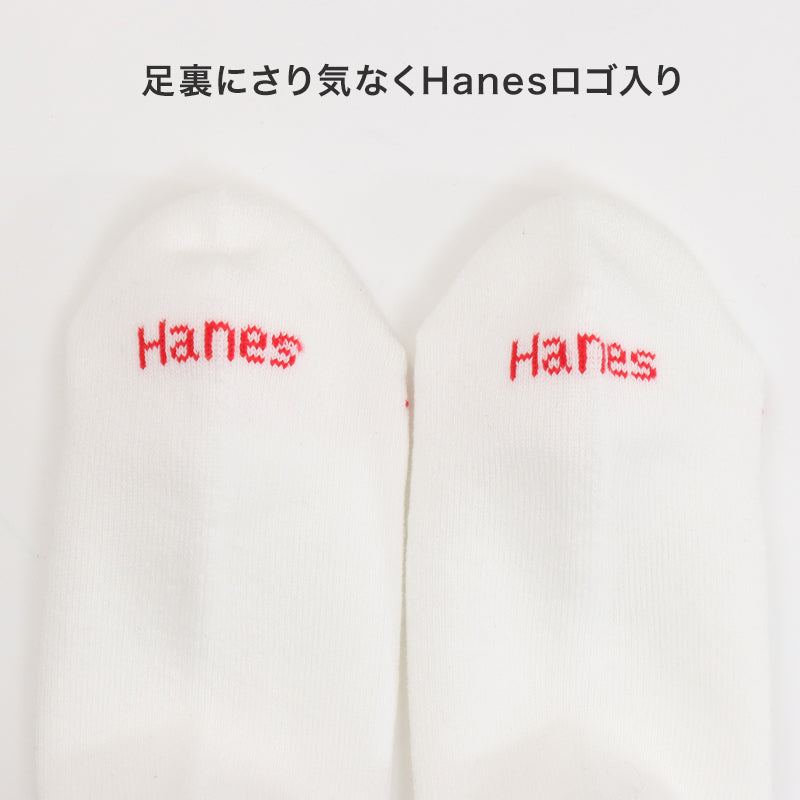 靴下 メンズ クルーソックス 2足組 Hanes ヘインズ ソックス 綿 クルー丈 ハーフパイル リブソックス スポーツ カジュアル 23-25cm・25-27cm 通勤 通学 シンプル おしゃれ 男性用
