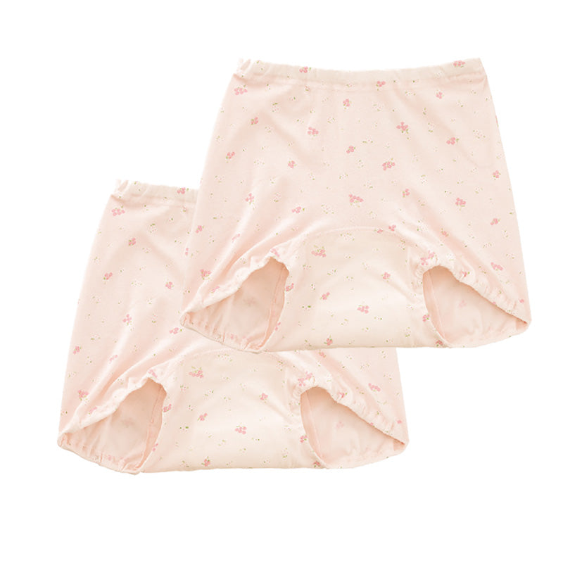 Suteteko 婦人 40cc対応 安心快適ズロース 2枚組 M～LL (中失禁 尿漏れ レディース パンティー 失禁パンツ 失禁ショーツ 吸水) (取寄せ)