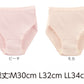Suteteko 婦人 30cc対応 安心快適ショーツ M～LL (中失禁 軽失禁 尿漏れ レディース パンティー 失禁パンツ 失禁ショーツ 吸水) (取寄せ)