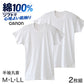 メンズ インナー 半袖 丸首 綿100％ 抗菌防臭 2枚組 薄手 CARON キャロン M L LL やわらかい 肌着 下着 シャツ クルーネック 紳士 男性 春夏 通年 コットン 綿素材 アンダーウェア インナーシャツ 洗い替え 毎日用 ソフト 肌触り 無地