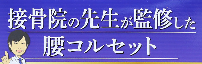 セルヴァン 固定ベルト 男女兼用 腰 コルセット 綿100％ M～LL・LL～3L (男女兼用 腰痛 リハビリ 介護 ぎっくり腰 サポーター) (送料無料) (介護用品) (取寄せ)