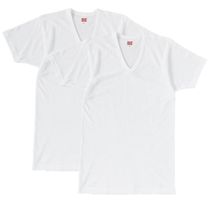 BVD インナー メンズ 半袖 vネック tシャツ 下着 カノコ メッシュ 2枚組 M～LL bvd インナーシャツ 肌着 v首 春夏 ホワイト 白 M L LL