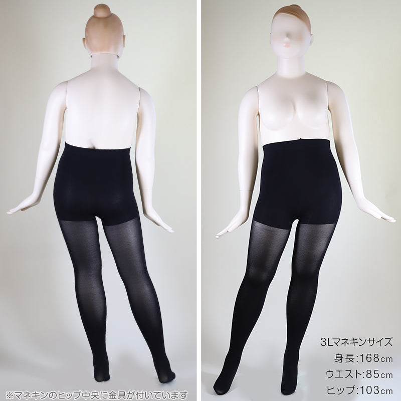 ゆったり タイツ 80デニール お腹パイル 3L-4L～5L-6L フリー