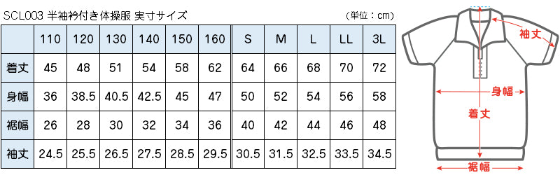 体操服 半袖 大きいサイズ 襟付き 体操着 S～3L ゆったり 半そで 160 170 男子 女子 白 小学生 小学校 中学生 女の子 男の子 ファスナー 衿 速乾 子供 綿 (在庫限り)