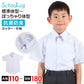 スクールシャツ 半袖 男子 カッターシャツ ホワイト 学生 フォーマル 無地 大きいサイズ 110cmA～180cmB b体 B体 学生服 ワイシャツ 小学 中学 高校 学校 男の子 制服 夏服 シャツ 抗菌防臭 スクログ 110 120 130 140 150 160 170 180 (在庫限り)