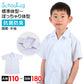 スクールシャツ 半袖 男子 開襟シャツ ホワイト 学生 フォーマル 無地 大きいサイズ 110cmA～180cmB b体 B体 学生服 ワイシャツ 小学 中学 高校 学校 男の子 制服 夏服 シャツ 抗菌防臭 スクログ 110 120 130 140 150 160 170 180 (在庫限り)